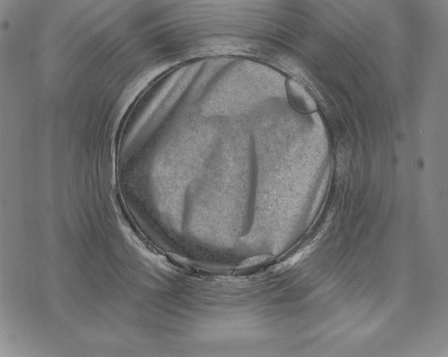 X0000074000844200609111556