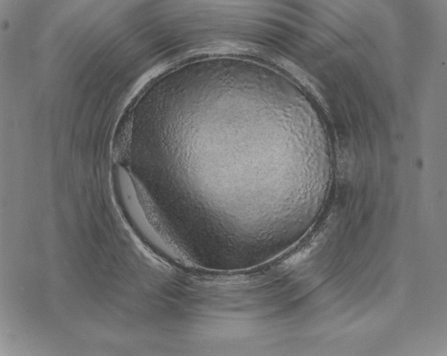 X0000074000845200609111556