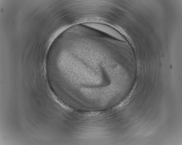 X0000074000846200609111556