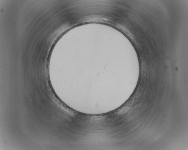 X0000074000848200609111556