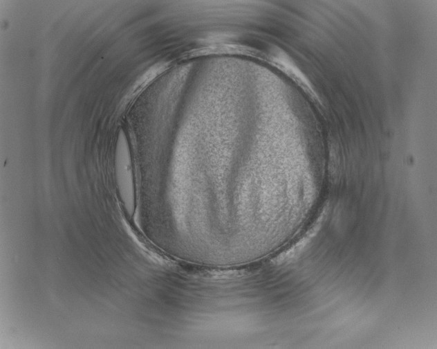 X0000074000849200609111556