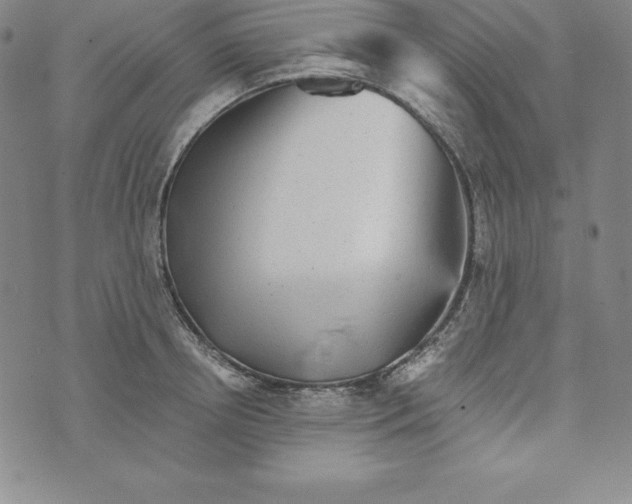 X0000074000850200609111556