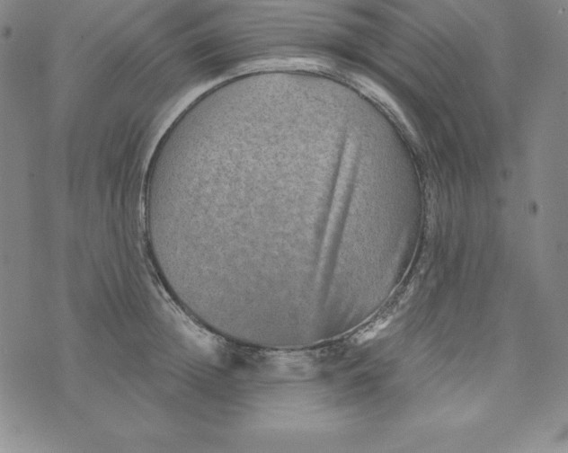 X0000074000852200609111556