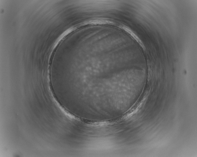 X0000074000853200609111556