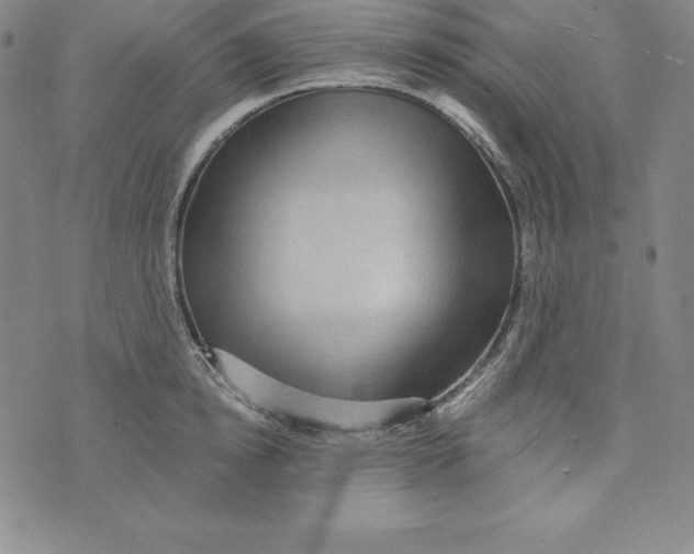 X0000074000854200609111556