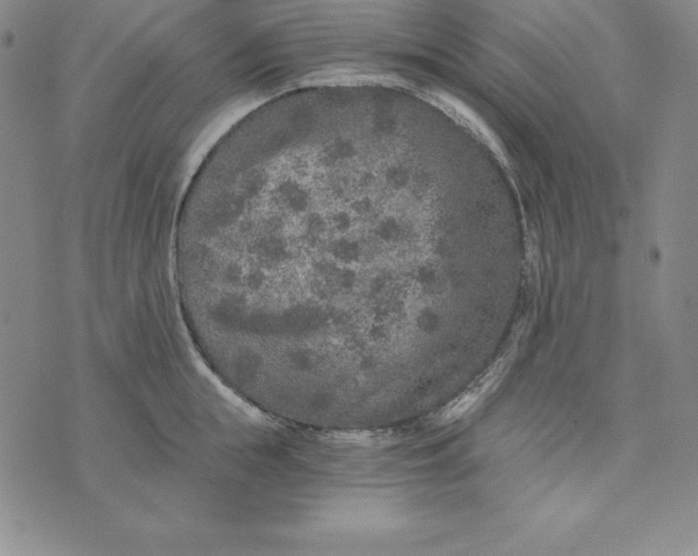 X0000074000855200609111556