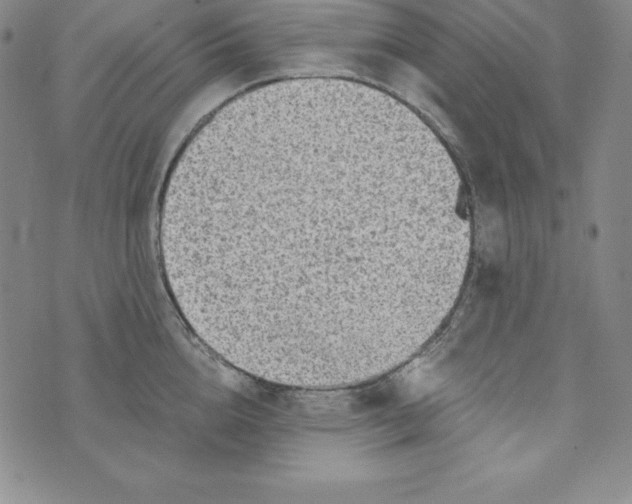 X0000074000856200609111556