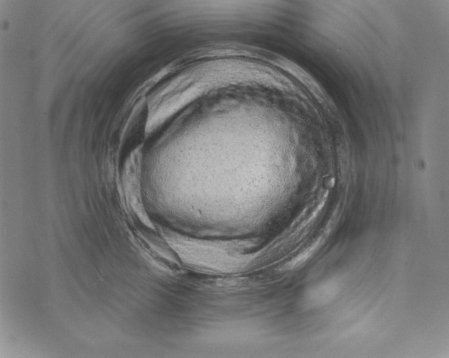 X0000074000857200609111556