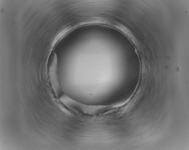 X0000074000858200609111556