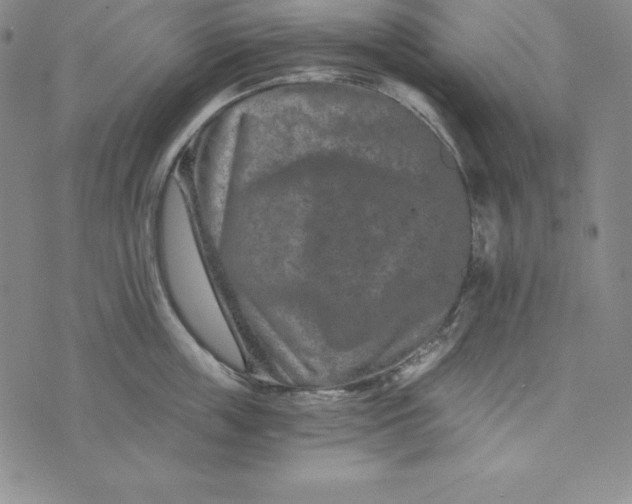 X0000074000859200609111556