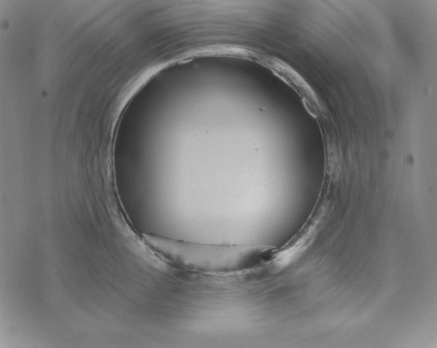 X0000074000860200609111556