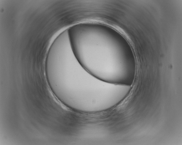 X0000074000862200609111557