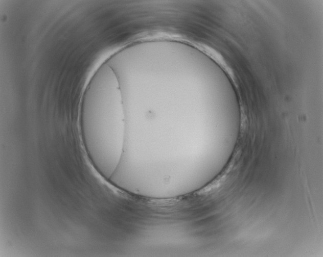 X0000074000863200609111557