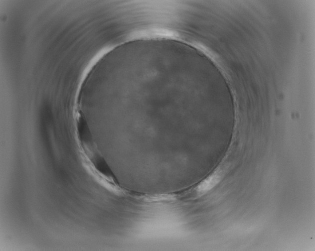 X0000074000864200609111557