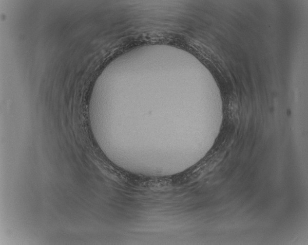 X0000074000865200609111556