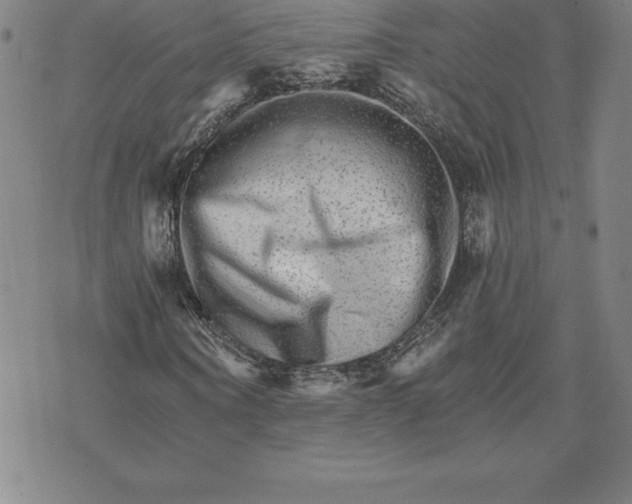 X0000074000866200609111556