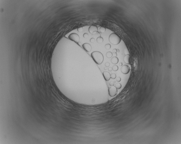 X0000074000867200609111556