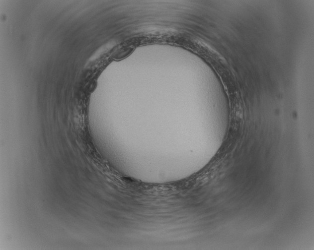 X0000074000869200609111556