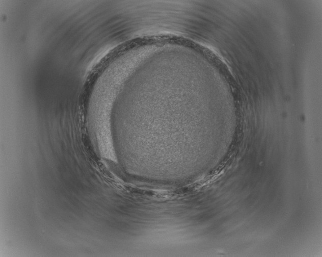 X0000074000871200609111556