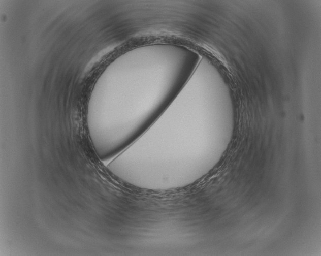 X0000074000872200609111556