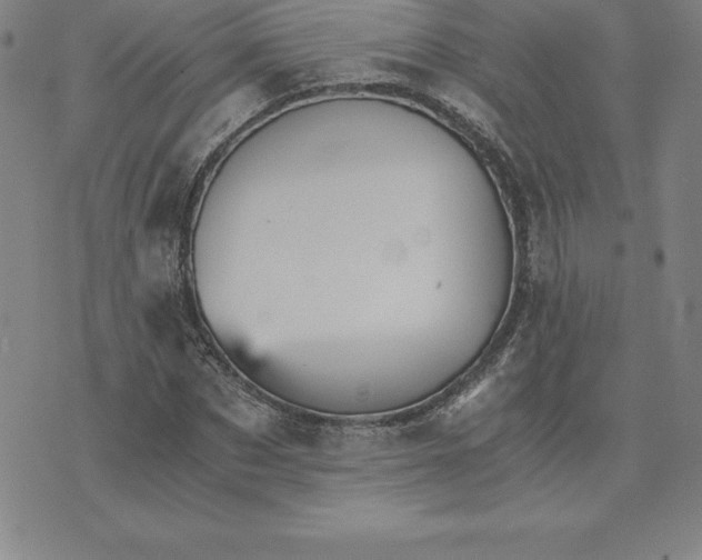 X0000074000873200609111556