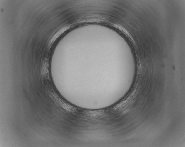 X0000074000874200609111556