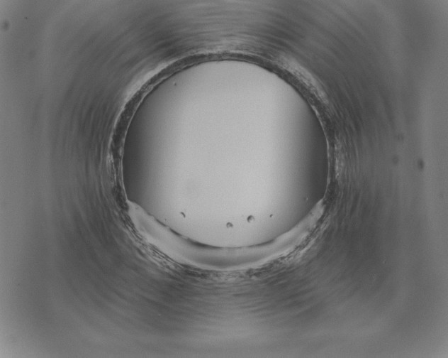 X0000074000876200609111556