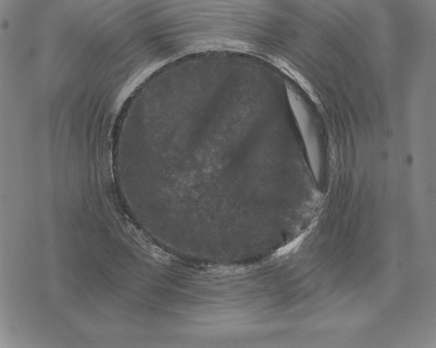 X0000074000877200609111556