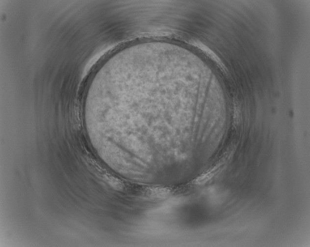 X0000074000878200609111556