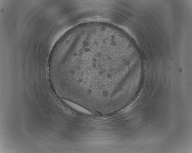 X0000074000879200609111556