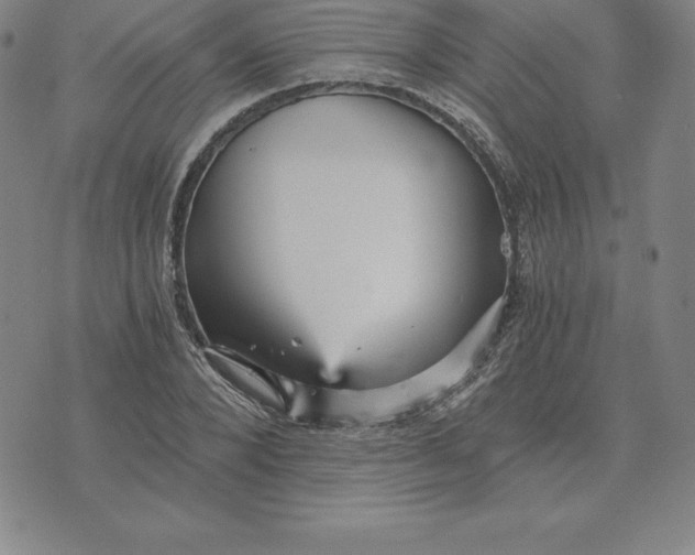 X0000074000880200609111556