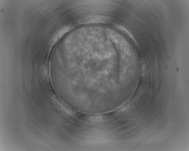 X0000074000882200609111555