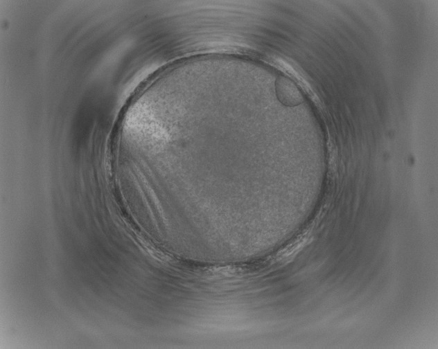 X0000074000883200609111555