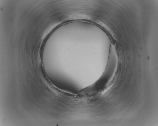 X0000074000885200609111555