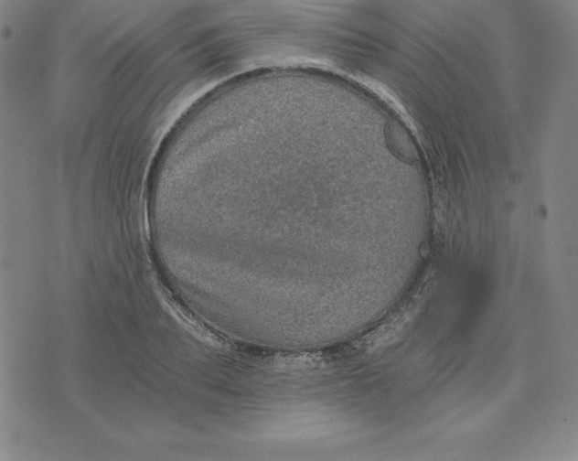 X0000074000887200609111555