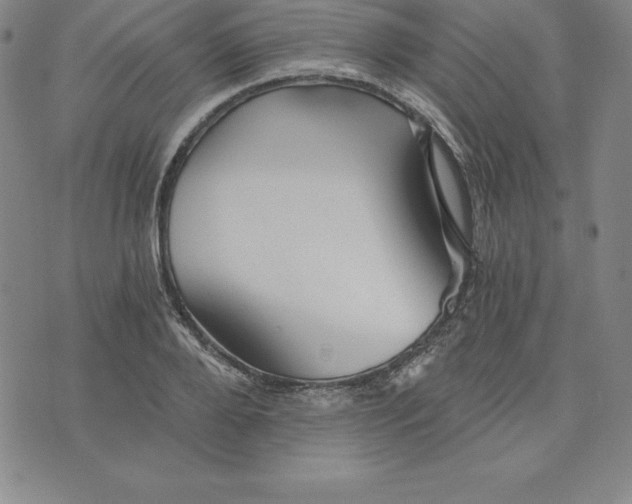 X0000074000888200609111555