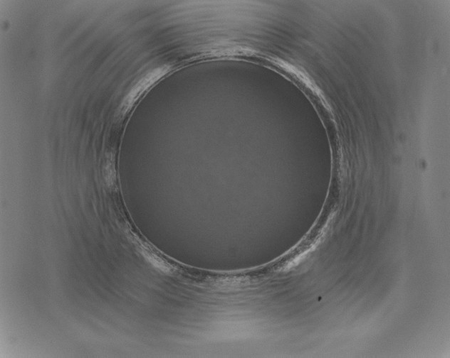 X0000074000889200609111555