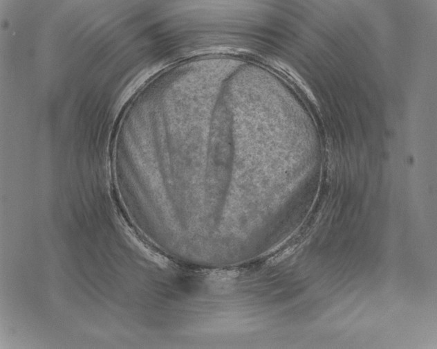 X0000074000890200609111555