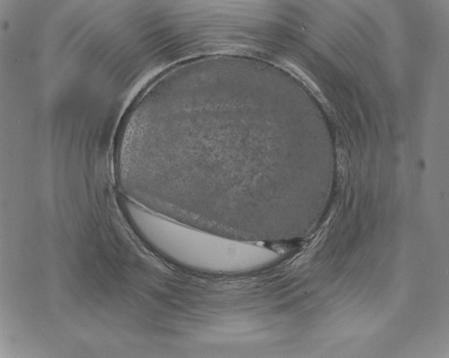 X0000074000891200609111555