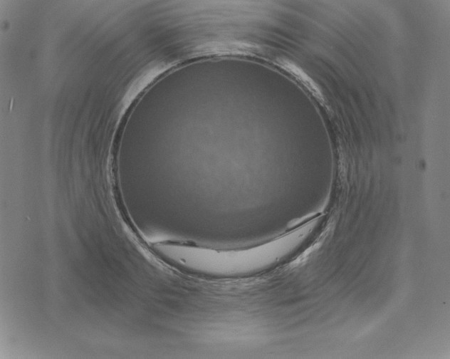 X0000074000893200609111555