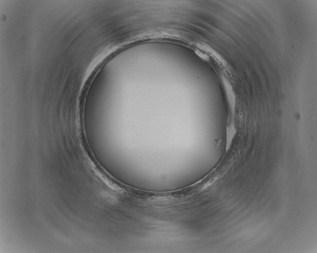 X0000074000894200609111555