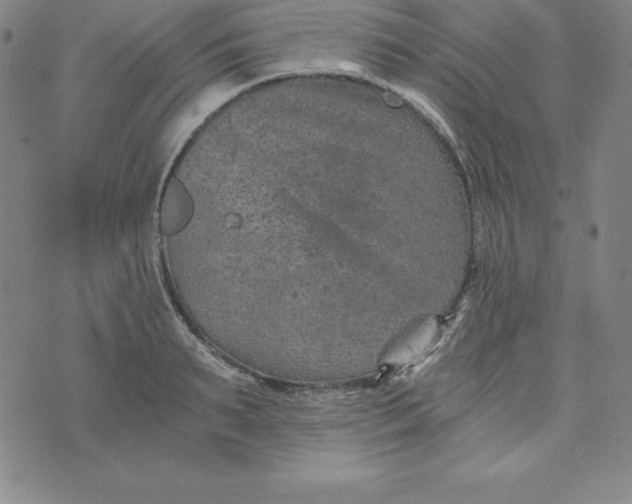 X0000074000895200609111555