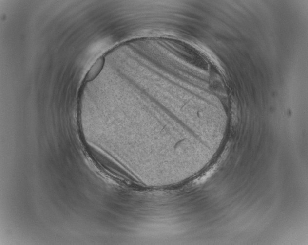 X0000074000896200609111555