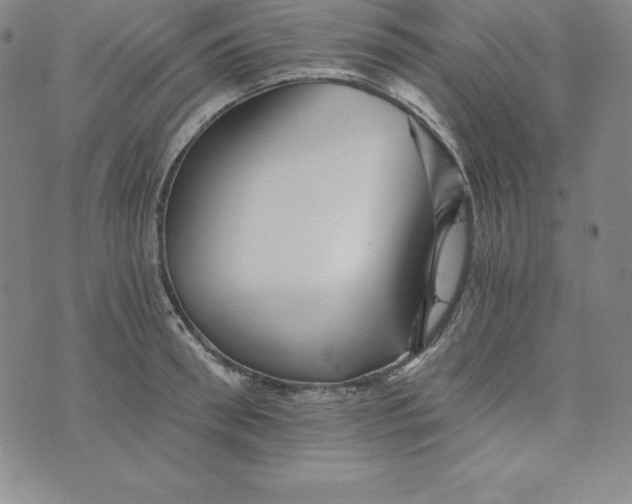 X0000074000898200609111555