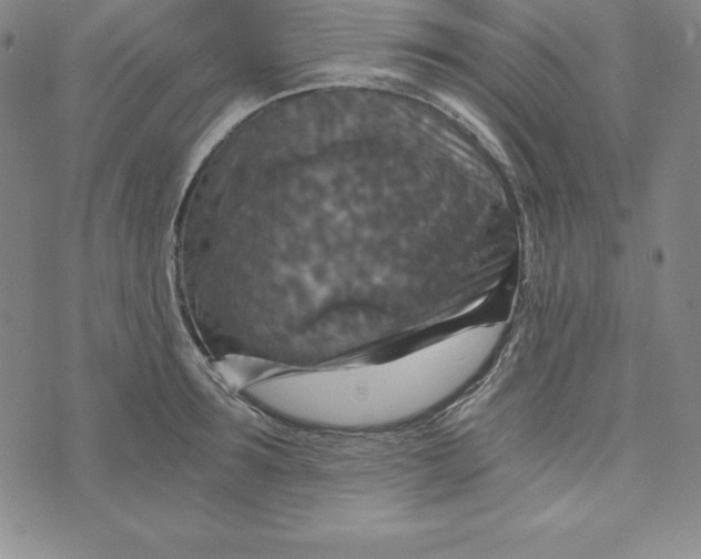 X0000074000899200609111555