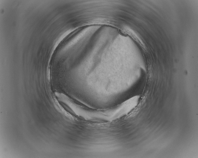 X0000074000900200609111555