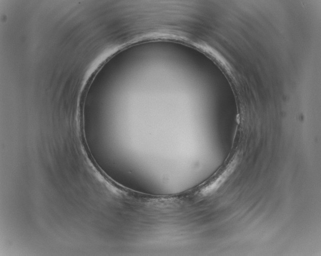 X0000074000902200609111555