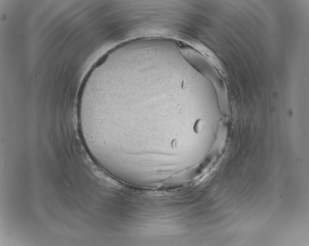 X0000074000904200609111555