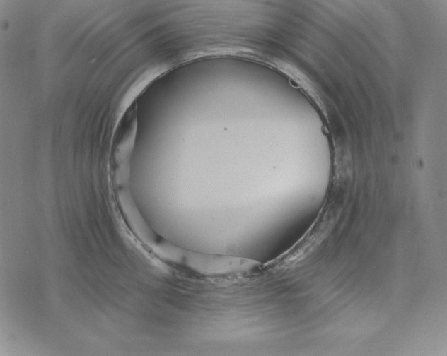 X0000074000906200609111555