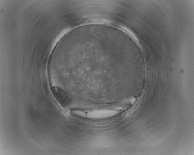 X0000074000907200609111555